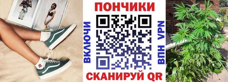 Бошки Шишки Bruce Banner  где продают наркотики  Электросталь 
